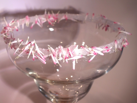 A cocktail glass with a rim of pink and white bellis petals stuck with sugar syrup. Recipe from The Edible Flower Garden