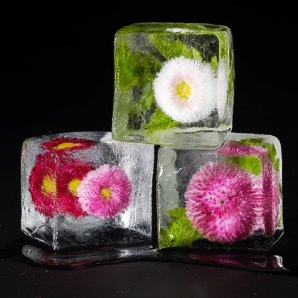 flower-ice-cubes