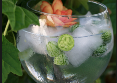 Two Gin Free G & T Recipes
